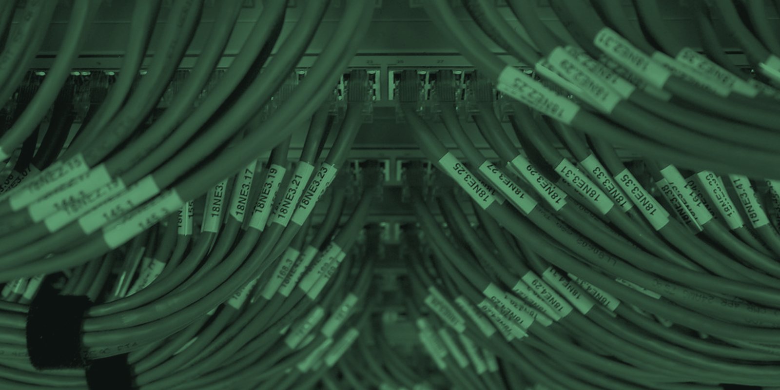Duotone photograph of a network switch with rows of Ethernet ports and cables, link lights glowing (adapted from "Switch!" by andrewfhart, CC BY-SA 2.0)